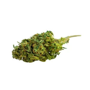 Amnesia Haze CBD - Fleurs de CBD