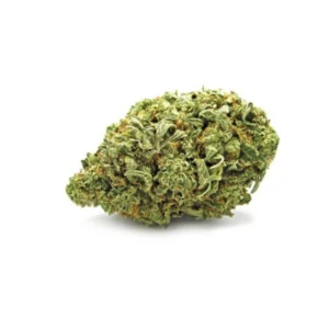 Jack Herer CBD - Fleurs de CBD