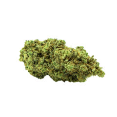 Purple Haze CBD - Fleurs de CBD