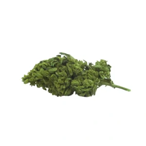 Harlem CBD - Fleurs de CBD