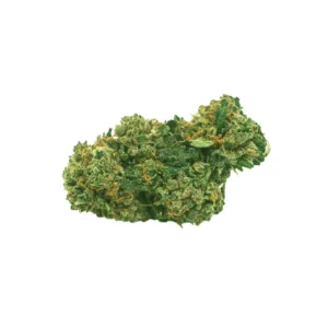 Power Plant CBD - Fleurs de CBD