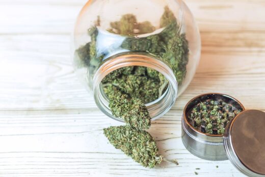 Fleurs Cbd Conserver