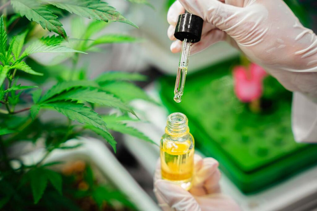 Cannabinoides Cb1 Et Cb2